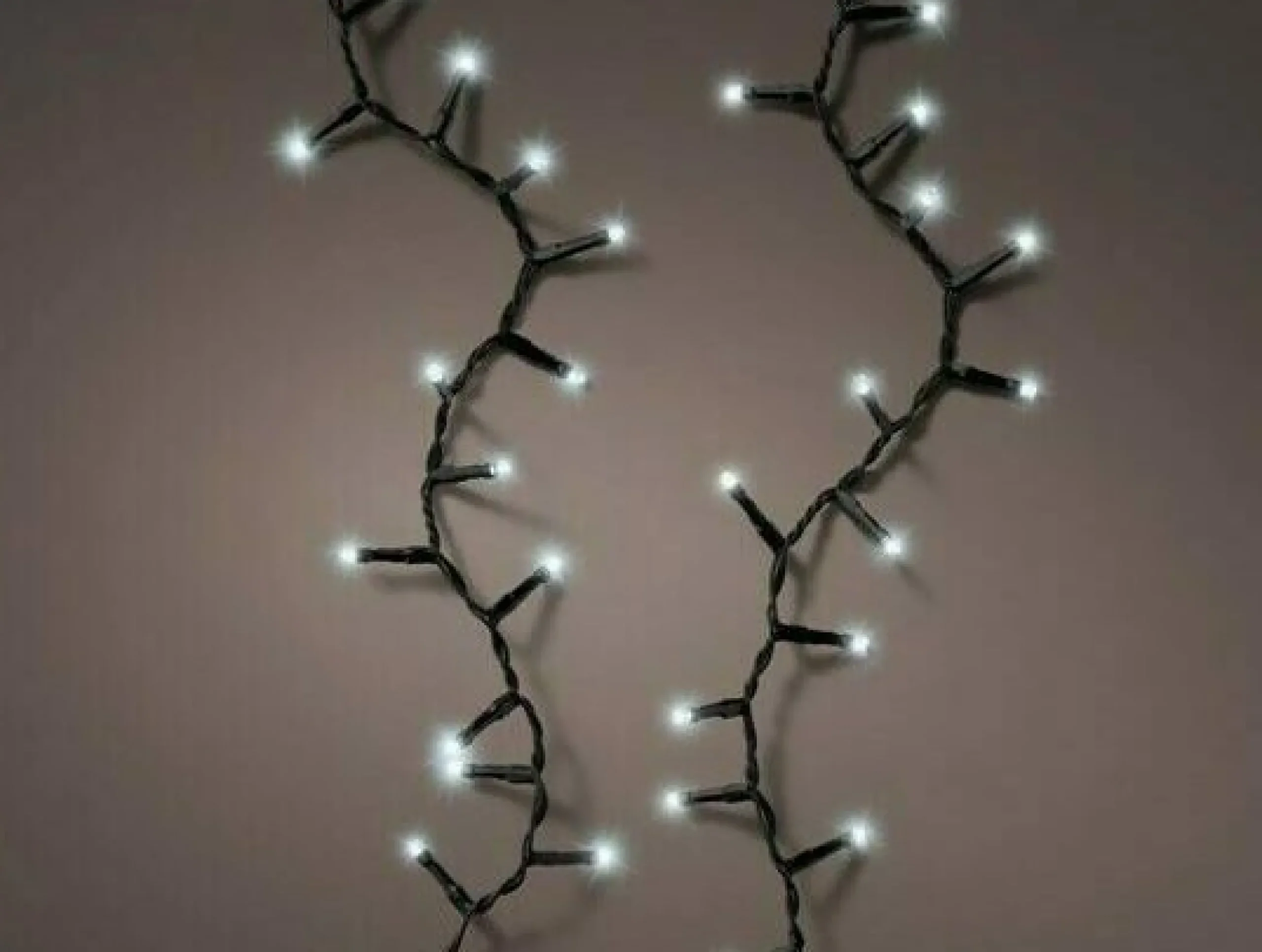 Outlet Christmas Land 600 Durawise Xl Compact Twinkle Battery Christmas Lights Cool White
