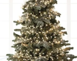 Sale Christmas Land 1512 Led Twinkle Cluster Christmas Lights Warm White Transparent Cable