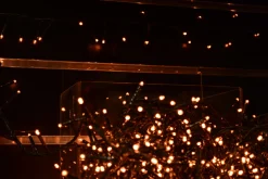 Best Christmas Land Led Warm White Compact Twinkle Christmas Lights